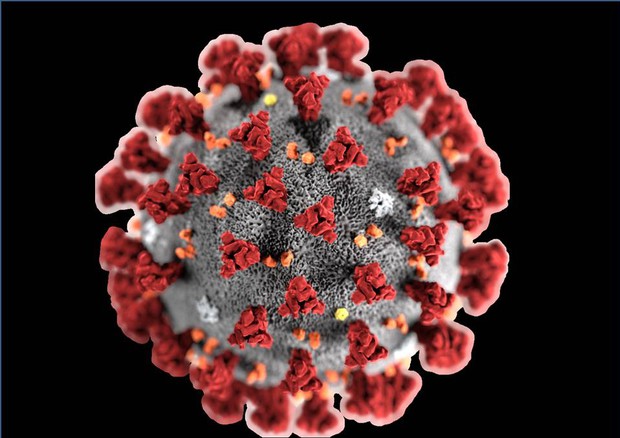 Coronavirus COVID -19 : Il decreto sul lavoro e le imprese